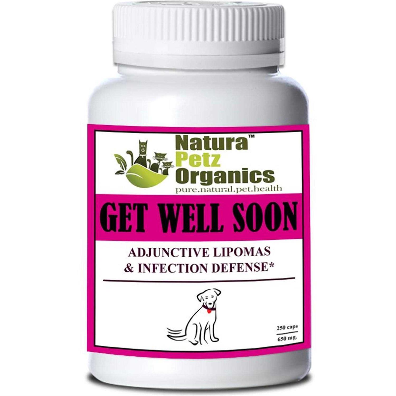 Organic Pet Systems Get Well Soon Adjunctive Lipoma + Infection Defense* DOG caps / 650 mg