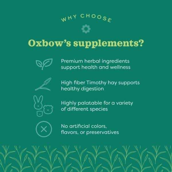 Alternative view of Oxbow Animal Health Natural Science Papaya Support