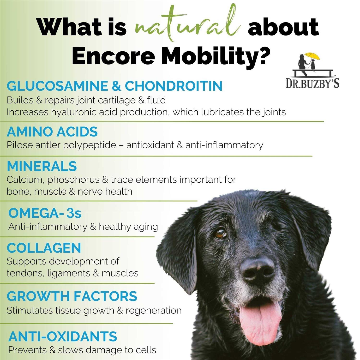 Alternative view of Dr. Buzby's Encore Mobility Hip & Joint Supplement for Senior Dogs, 90 Chewable Tablets, Natural New Zealand Deer Velvet and Green Lipped Mussel