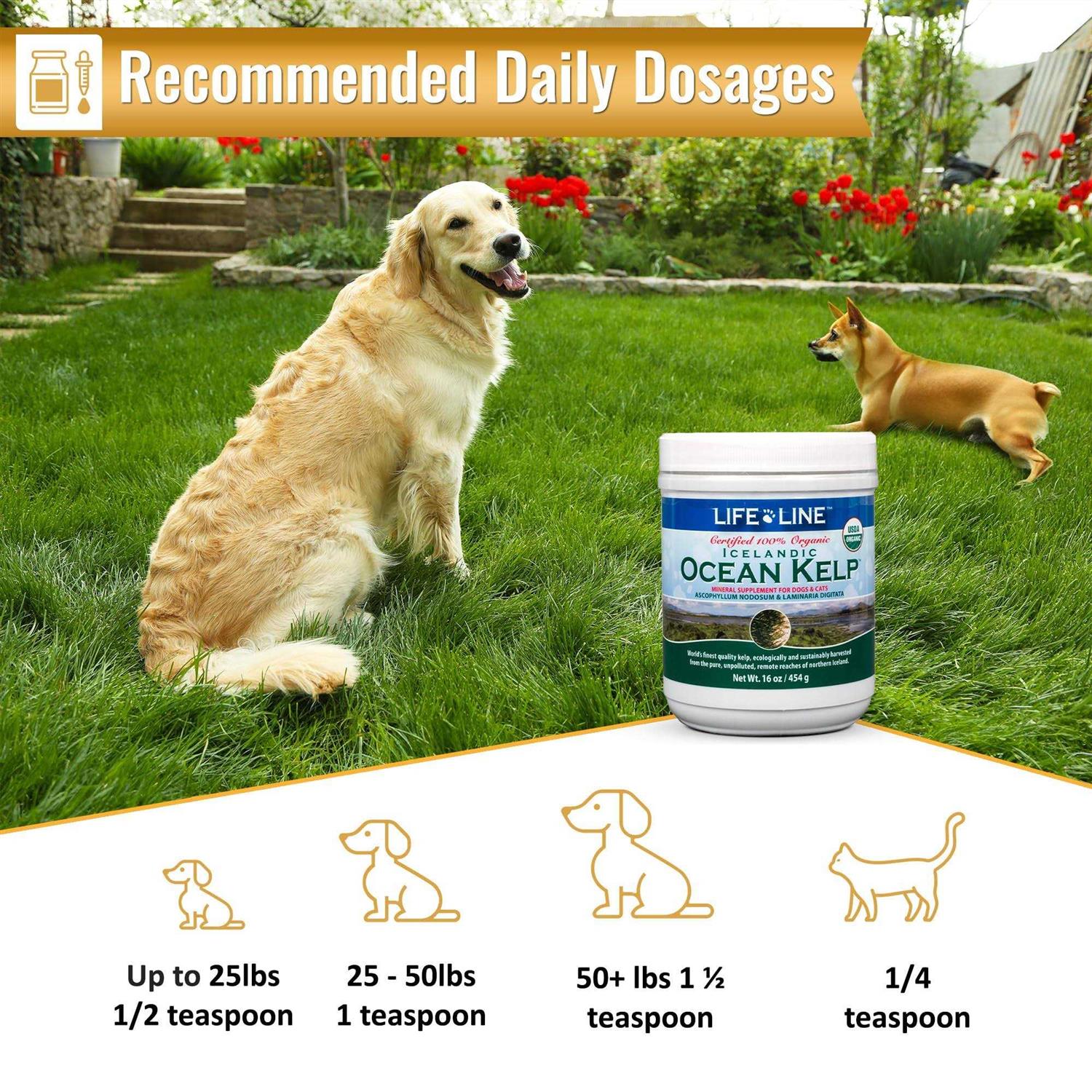 Alternative view of Life Line Pet Nutrition Life Line Ocean Kelp Dog & Cat Supplement