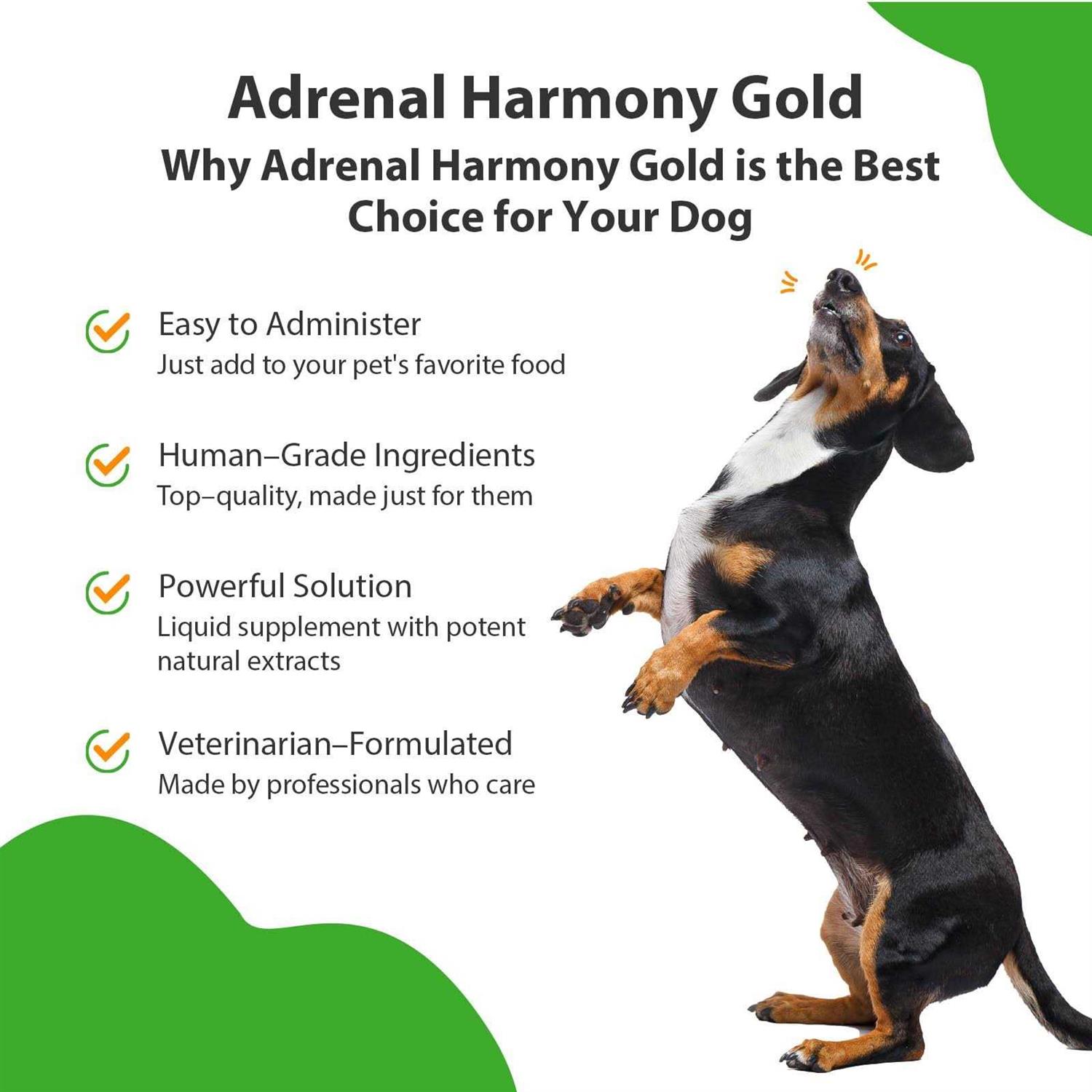 Alternative view of Pet Wellbeing Adrenal Harmony Gold for Dog Cushing's