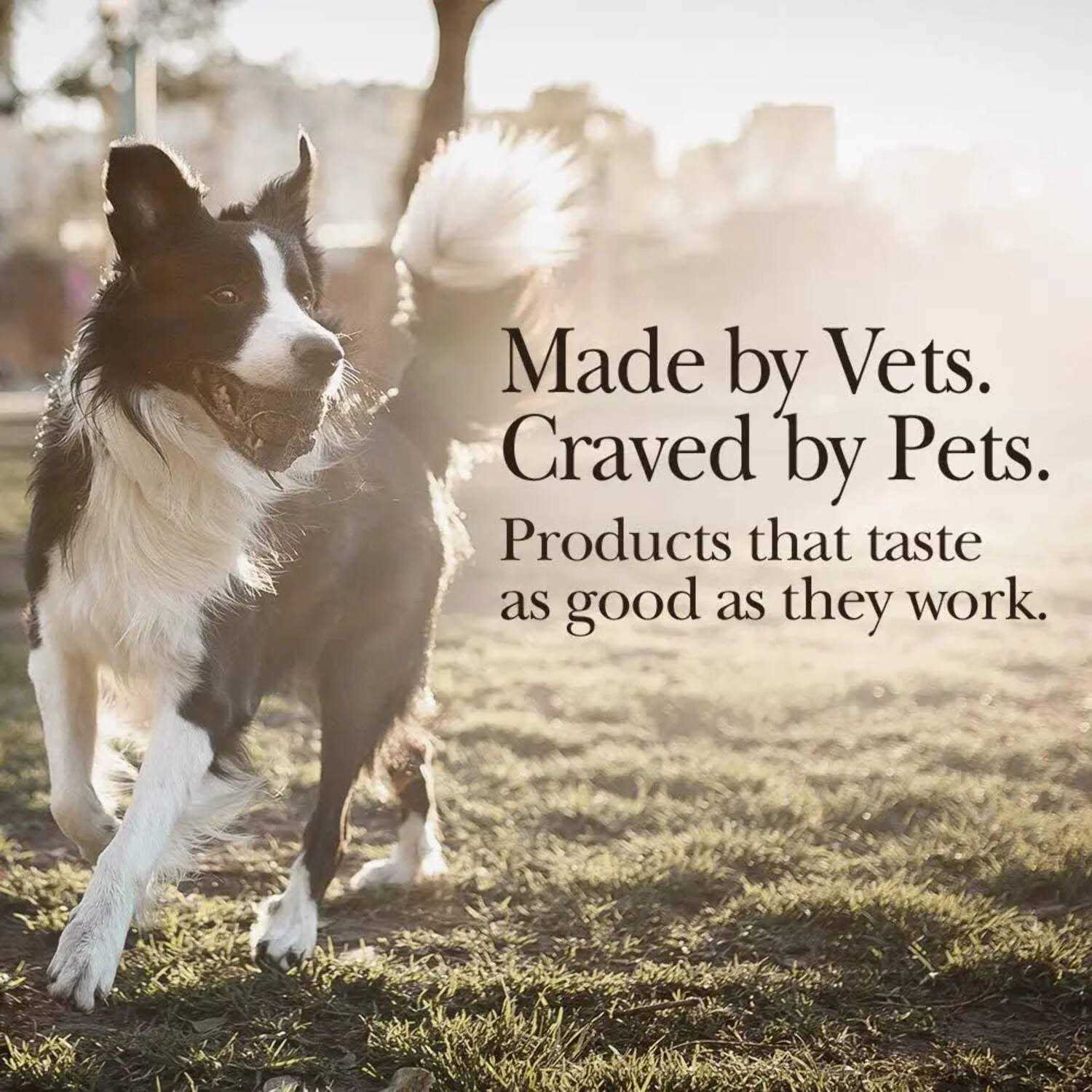 Alternative view of Nutri-Vet Hip & Joint Advanced Strength Chewables