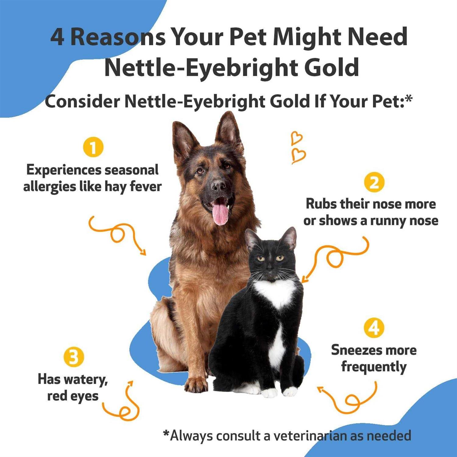 Alternative view of Pet Wellbeing Nettle Eyebright Gold for Dogs