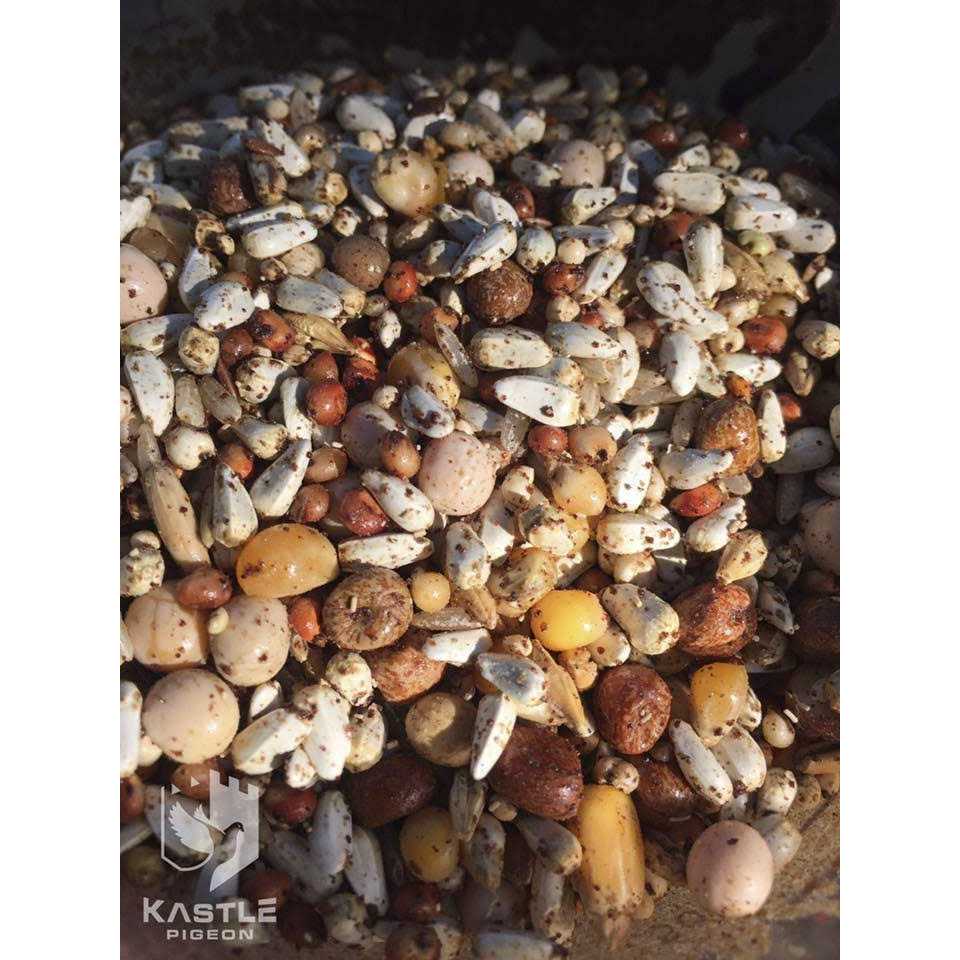 Alternative view of Kastle Pigeon Breeder Advantage 500 g