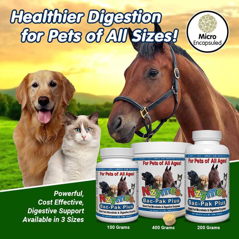 Alternative view of Nzymes Bac-Pak Plus 400gm for Pets