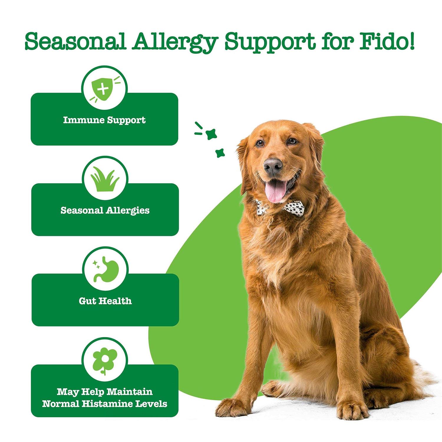 Alternative view of Zesty Paws Hemp Cheese Elements Allergy & Immune Bites for Dogs