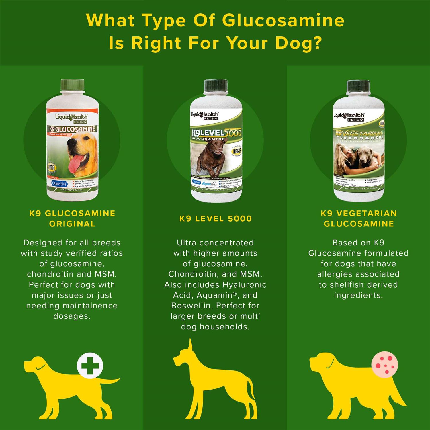 Alternative view of Liquid Health Pets K9 Glucosamine for Dogs Joint Supplement
