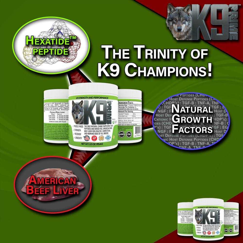 Alternative view of THE GIFT FOR LIFE K9 Prime Elevate Your Dog's Performance!