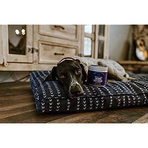 Alternative view of Natural Rapport The Only Calming Soft Chews Dogs Need