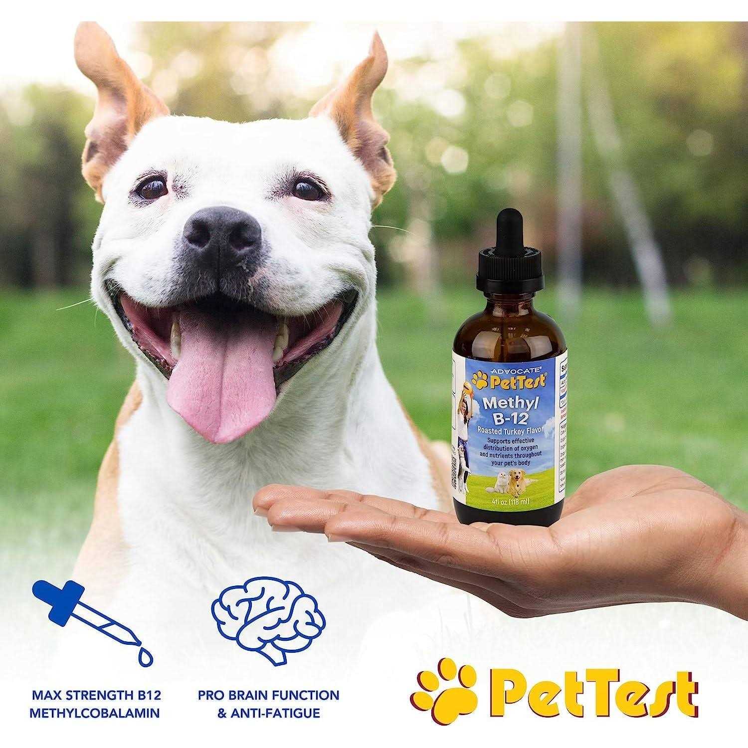 Alternative view of Pettest Methyl B-12 for Diabetic Dogs Cats 4 fl oz