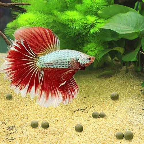 Alternative view of SunGrow Mineral Balls for Betta Water Conditioner with Over 30 Beneficial Elements