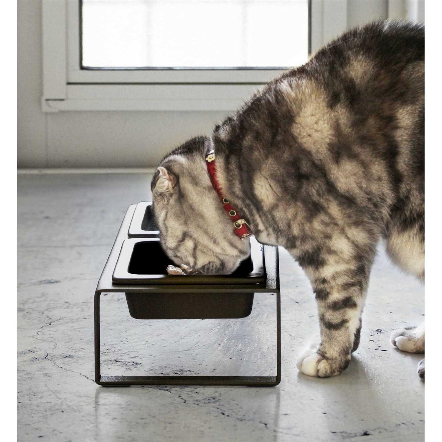Alternative view of Yamazaki Home Pet Food Bowl