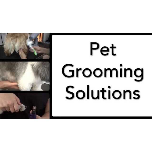 Alternative view of Andis ProClip AGC Pet Hair Clipper Kit
