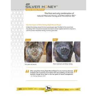 Alternative view of Silver Honey Rapid Skin Relief Medicated Shampoo