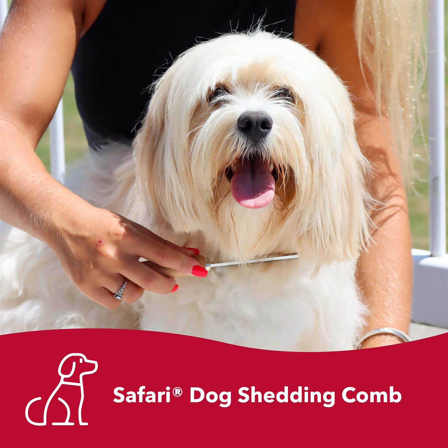 Alternative view of Safari Dog Shedding Comb