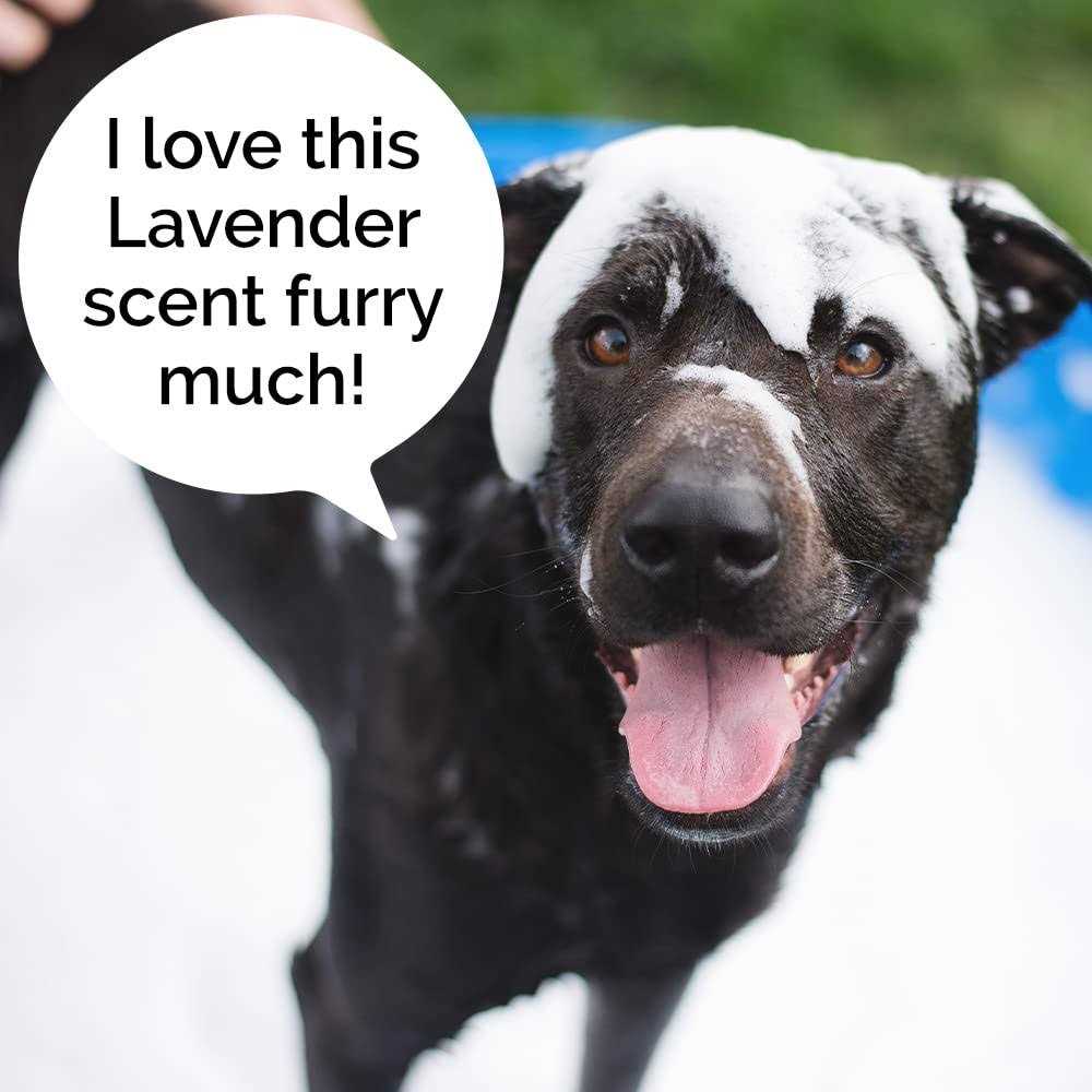 Alternative view of Rosen Apothecary Moisturizing Dog Wash 5-in-1 for Cleansing