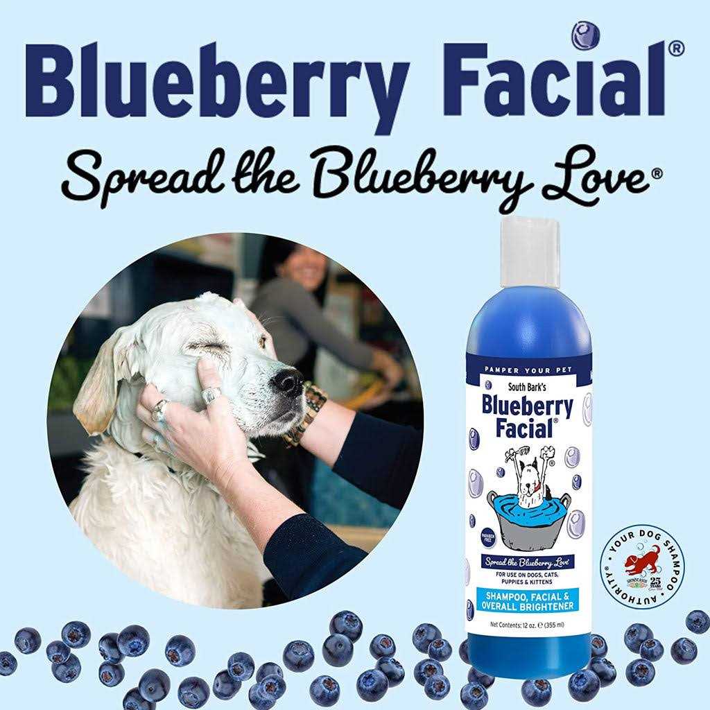 Alternative view of South Bark Blueberry Facial