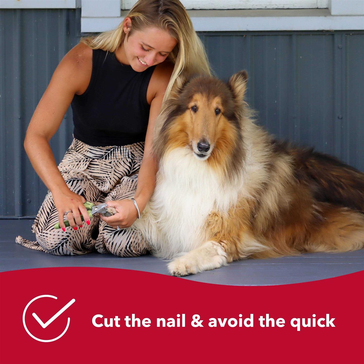 Alternative view of Safari Professional Nail Trimmer Large