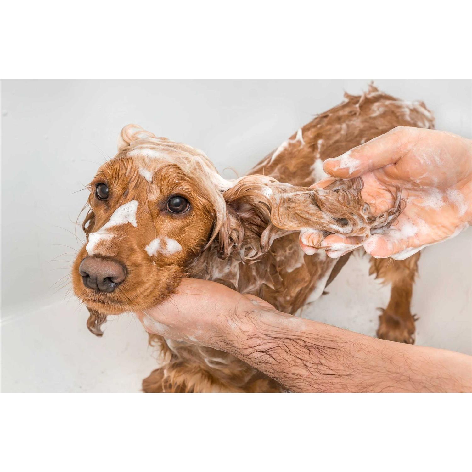 Alternative view of Petkin MegaValu Odor-Away Dog Shampoo