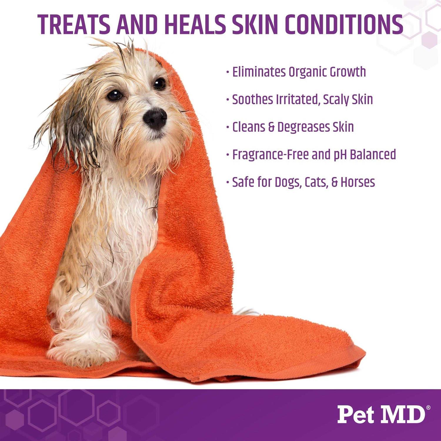 Alternative view of Pet MD Store Micoseb-CX Medicated Shampoo for Dogs