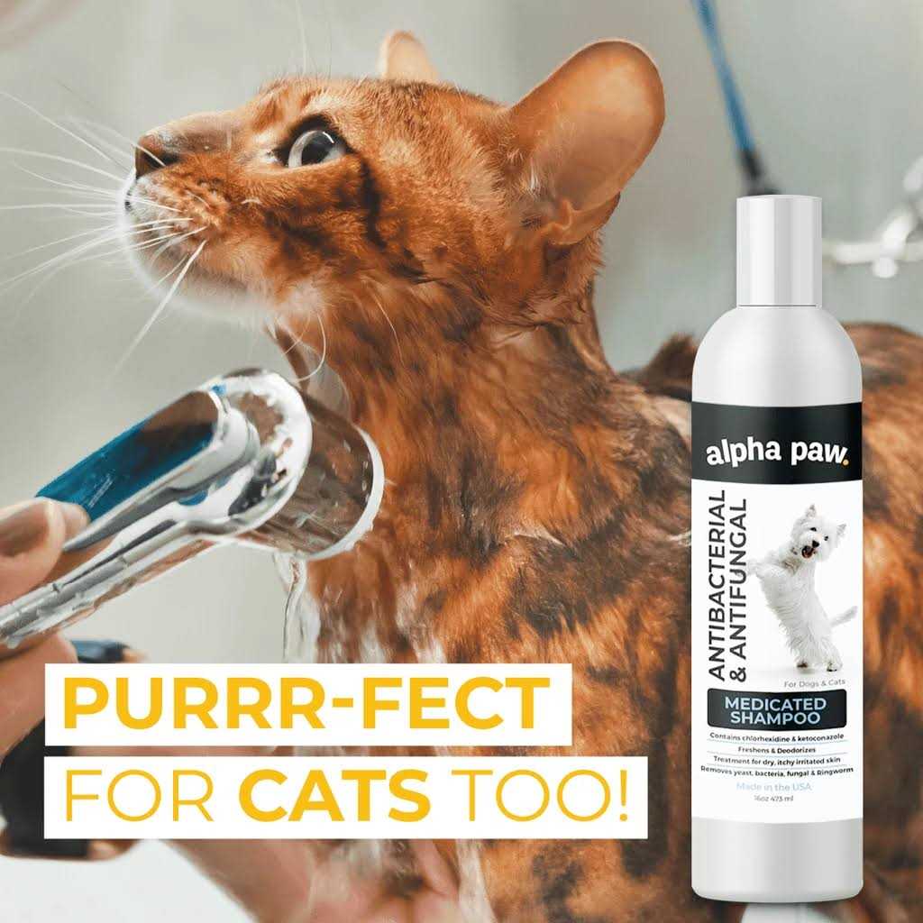 Alternative view of Alpha Paw Antibacterial & Antifungal Medicated Shampoo