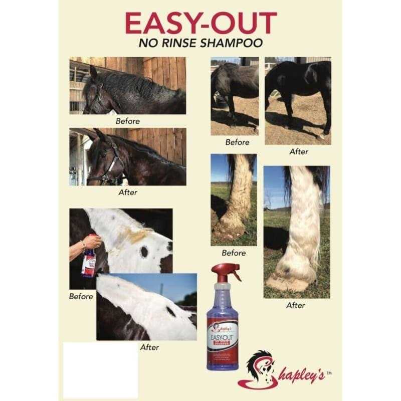 Alternative view of Shapley's Easy Out No Rinse Shampoo