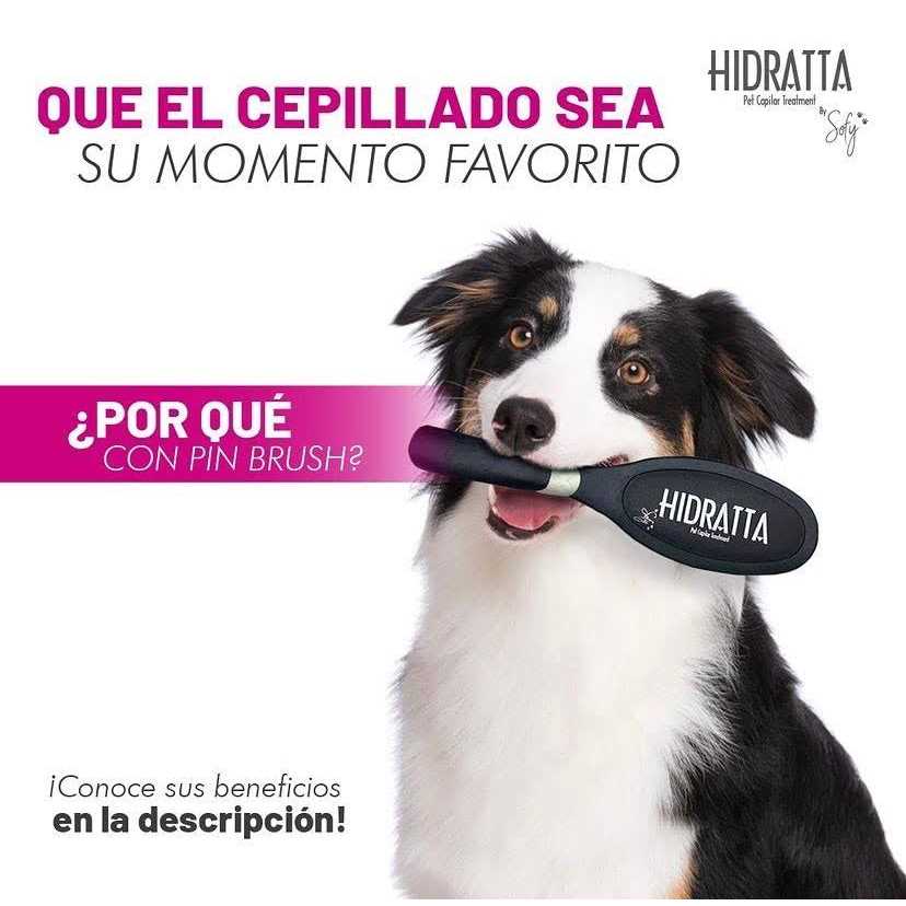 Alternative view of Hairbrush for pets