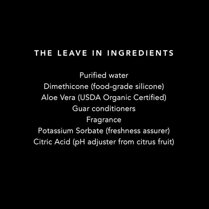 Alternative view of Pride+Groom The Leave in Conditioner Treatment for Dogs