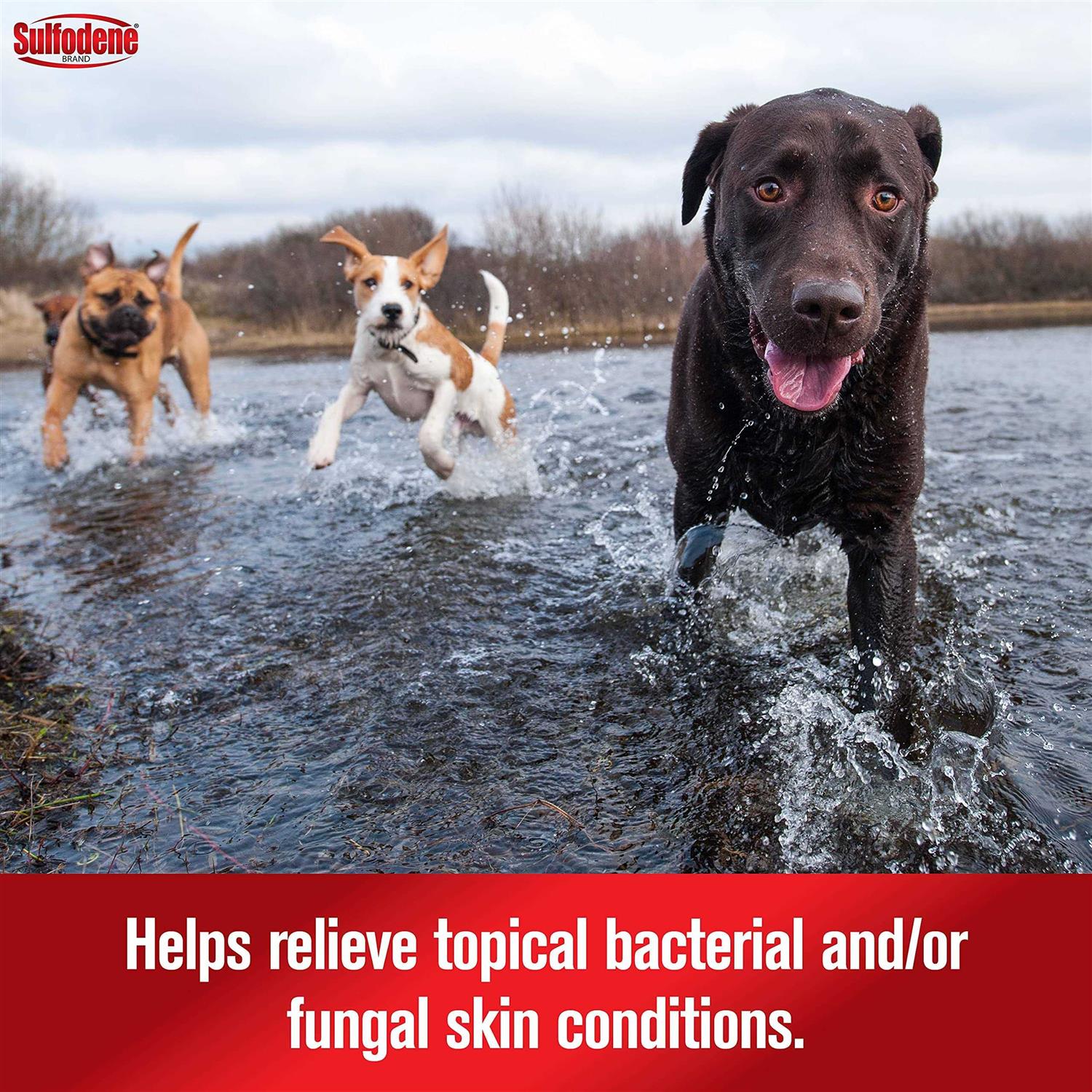 Alternative view of Sulfodene 3 Way Ointment for Dogs