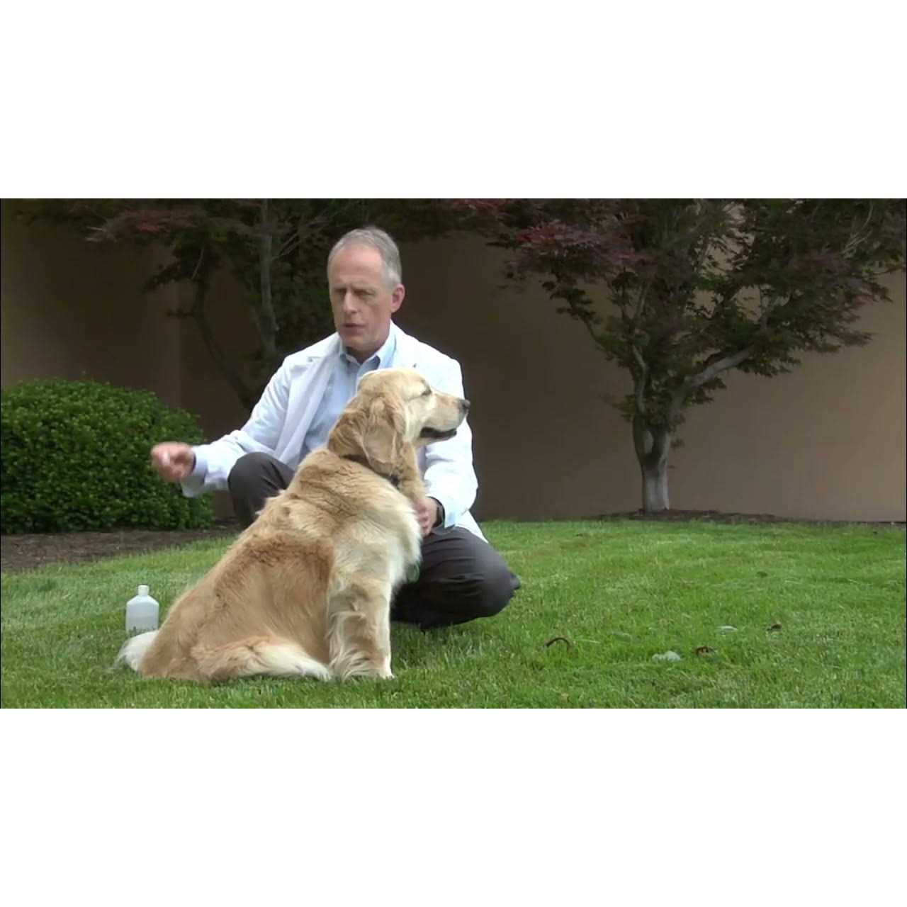 Alternative view of Spectra 5 Canine Vaccine