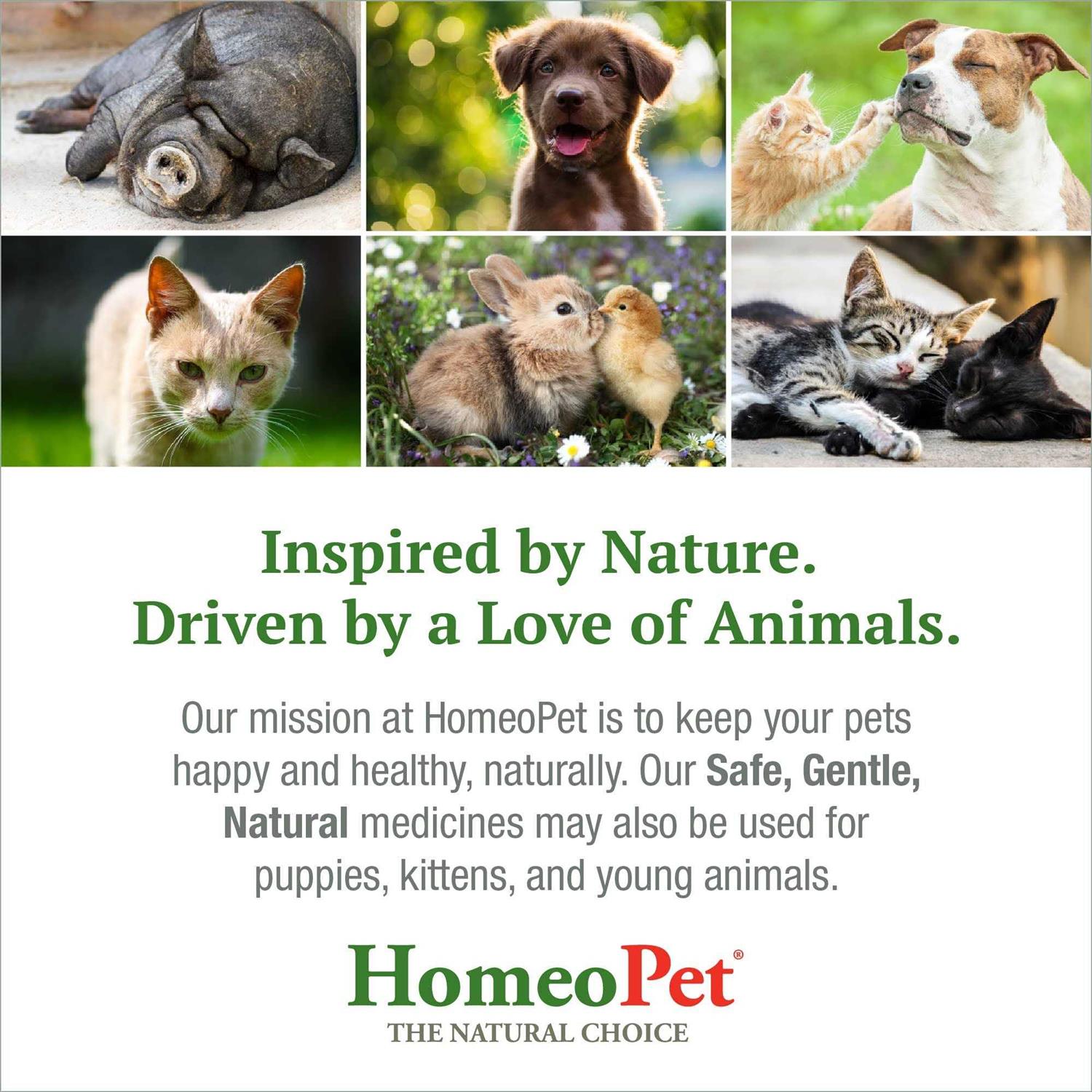 Alternative view of HomeoPet Feline UTI+