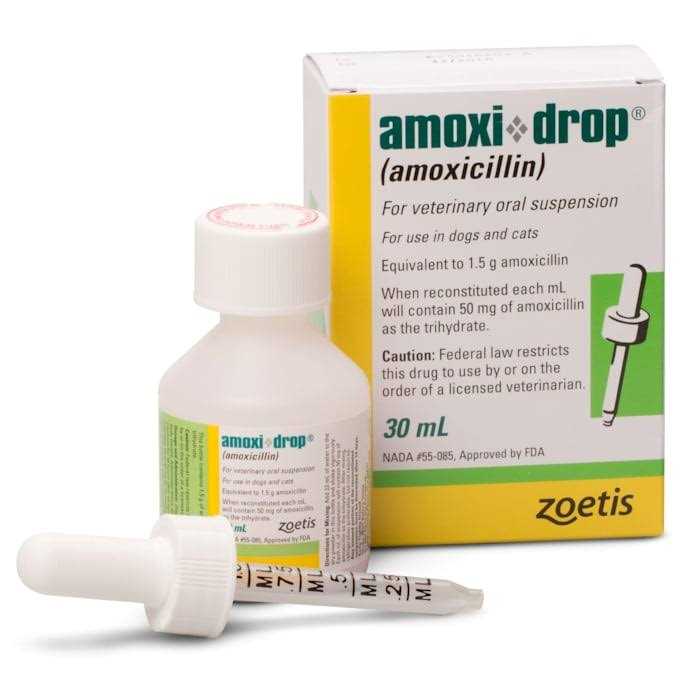 Amoxi Drop Oral Suspension 30ML