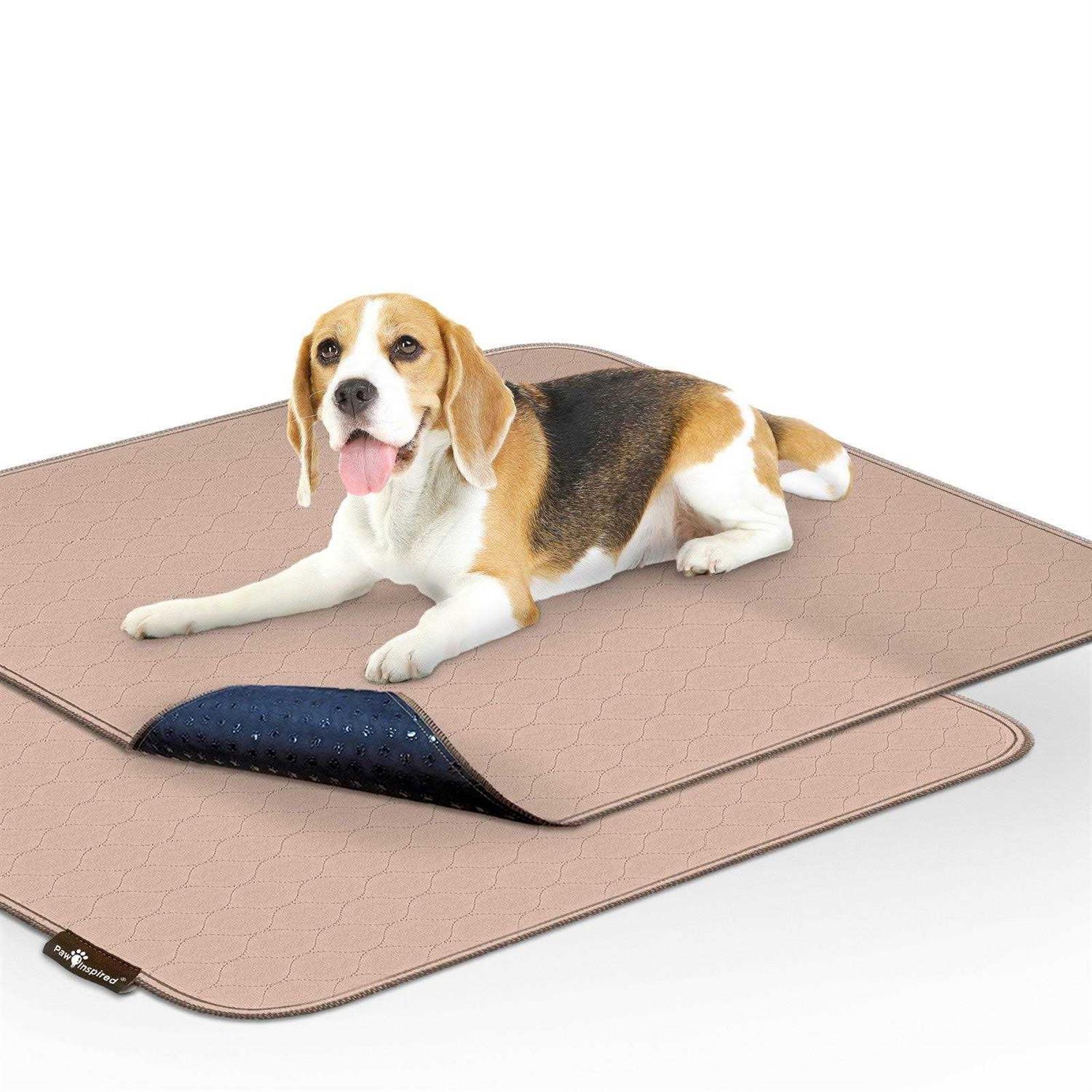 Paw Inspired Washable Pee Pads for Dogs Reusable Puppy Pads