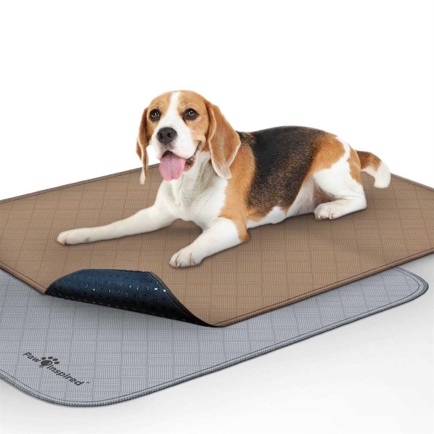 Paw Inspired Washable Pee Pads for Dogs Reusable Puppy Pads