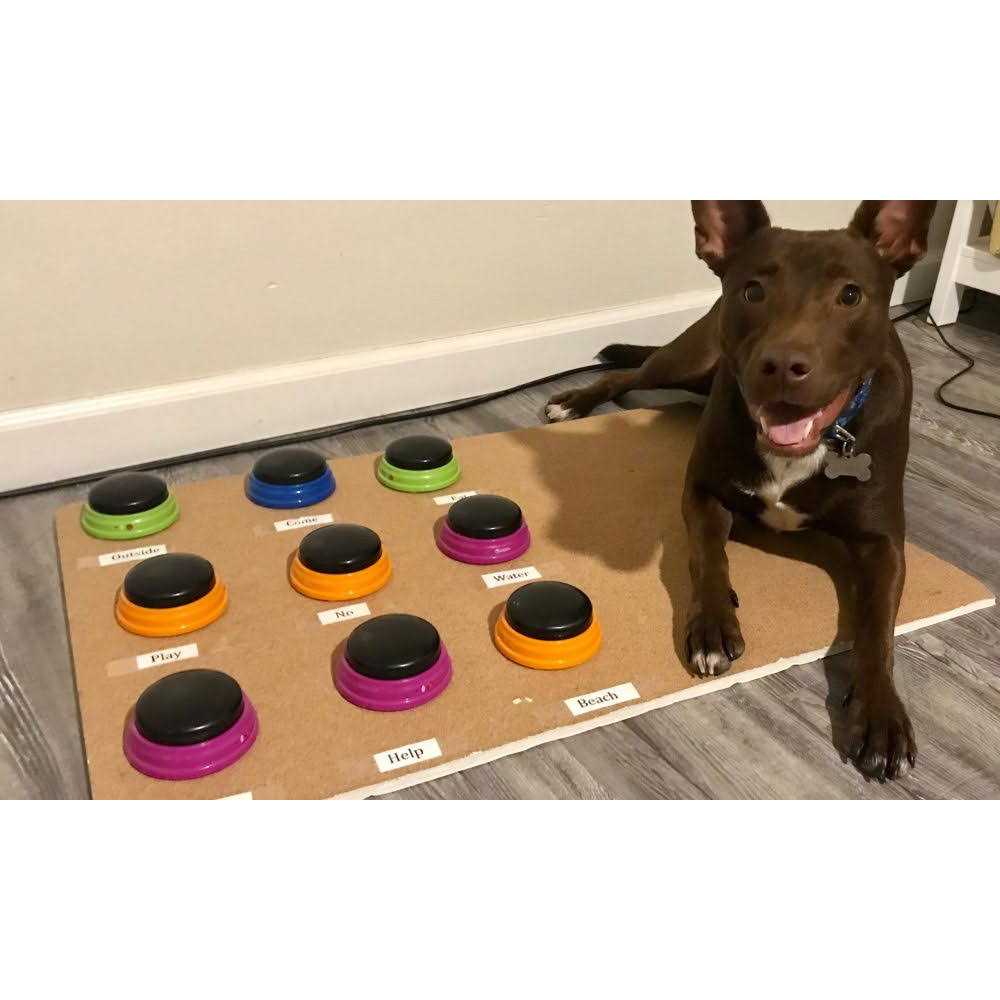 Alternative view of Hunger for Words Talking Pet Starter Set