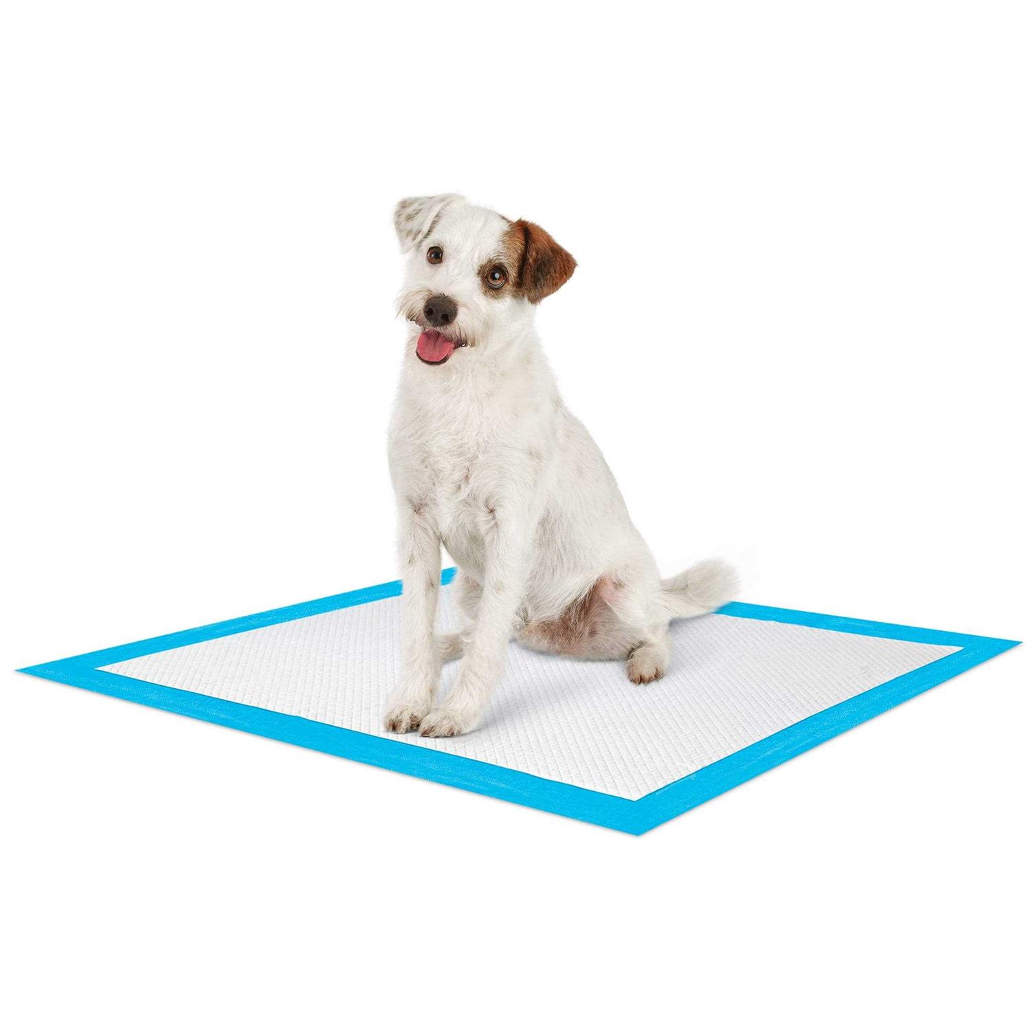 Alternative view of So Phresh Large Leak Guard Quilted Potty Pads