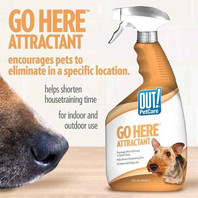 Alternative view of Out! Petcare Go Here Attractant Indoor and Outdoor Dog Training Spray