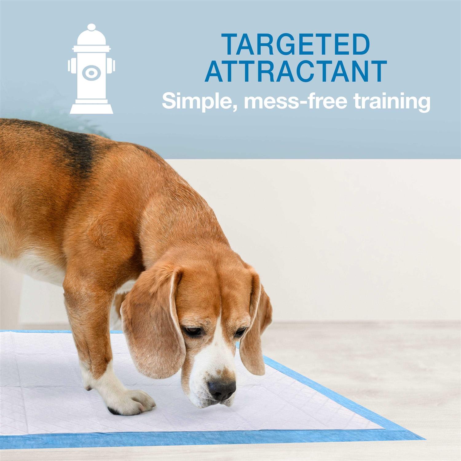 Alternative view of Four Paws Wee-Wee Febreze Freshness Odor Control Pads