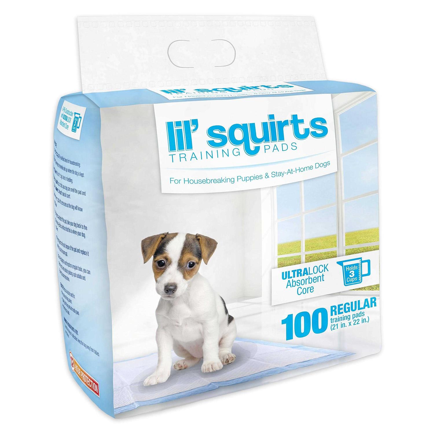 Ruffin' It Lil Squirts Training Pads