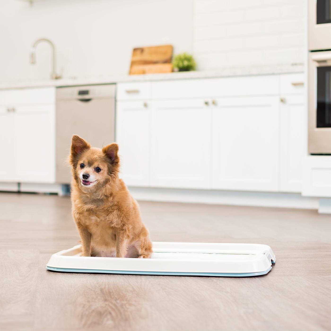 Alternative view of IRIS USA Square Pet Training Pad Holder