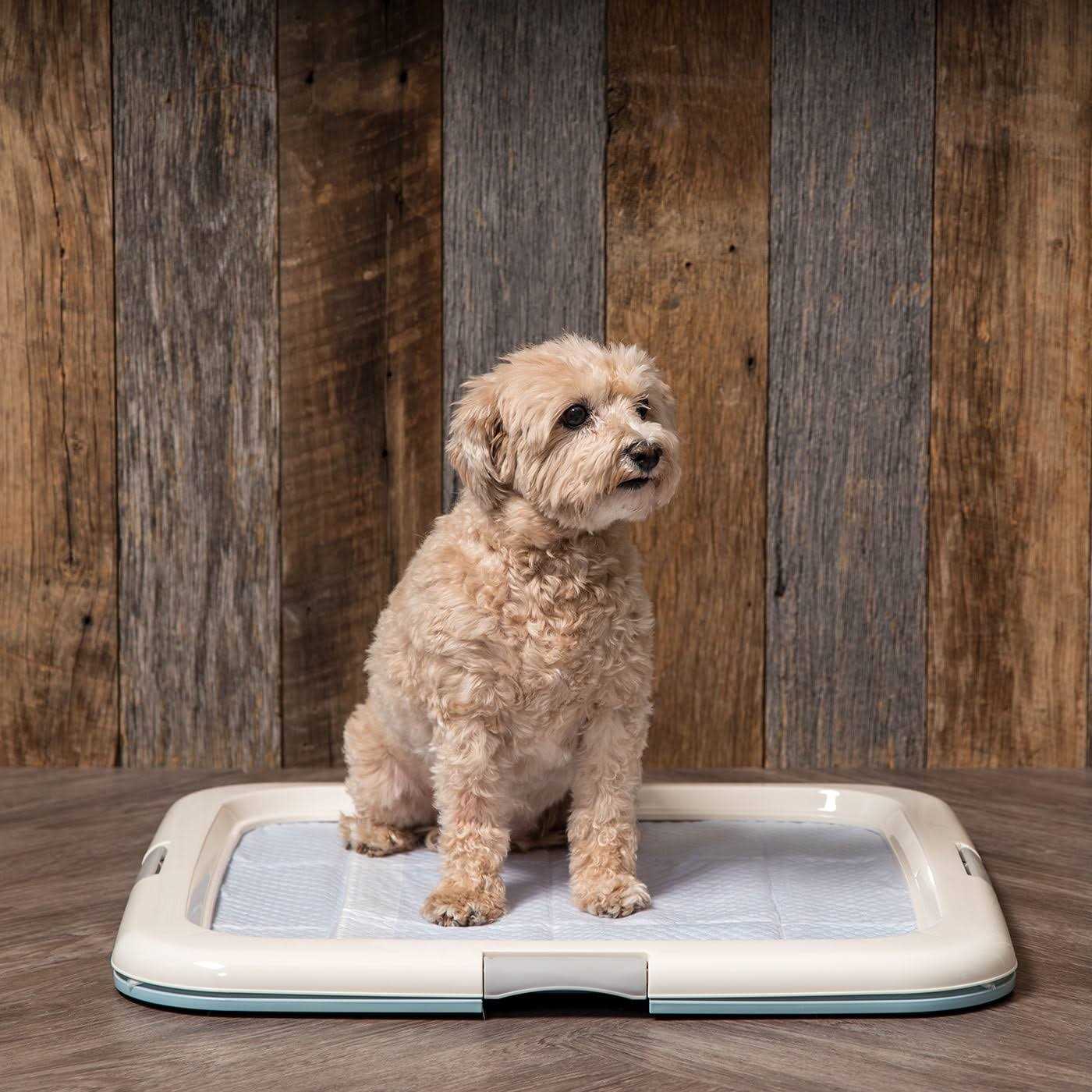 IRIS USA Square Pet Training Pad Holder