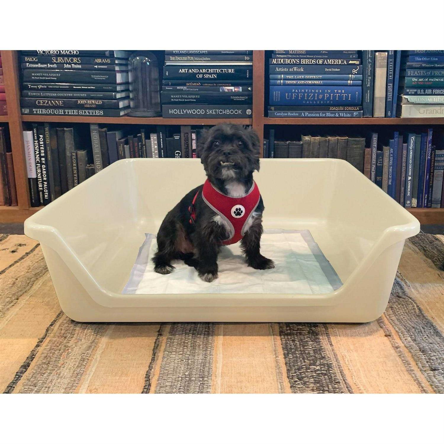 Shirley K's Indoor Dog Potty Tray