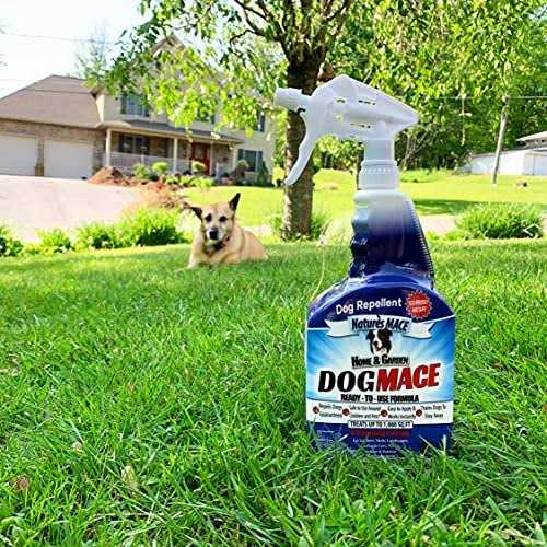 Alternative view of Nature's Mace Dog Mace Dog Repellent and Training Tool