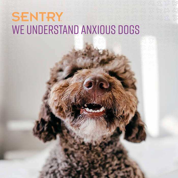 Alternative view of Sentry Stop That! Behavior Correction Spray for Dogs