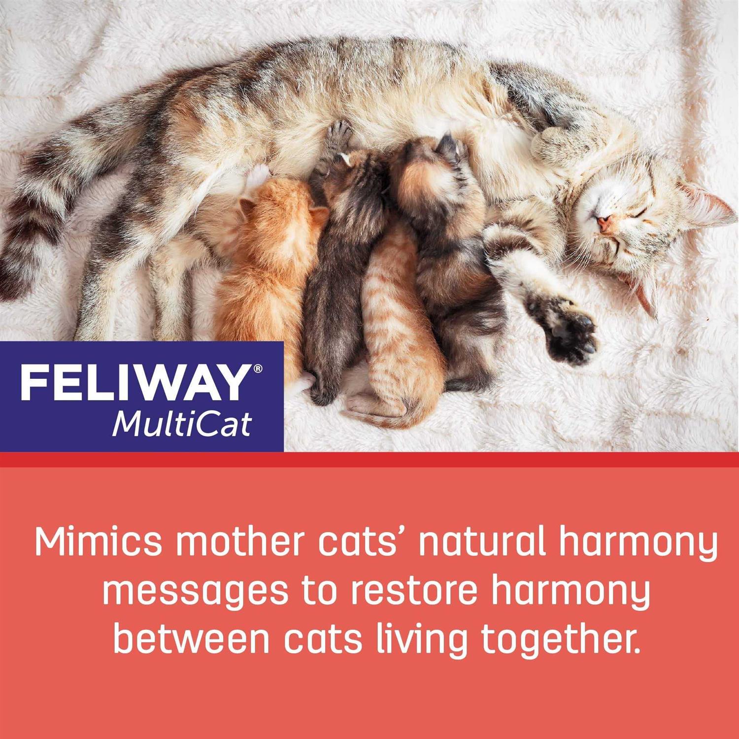 Alternative view of Feliway Multicat 3-Pack Refill