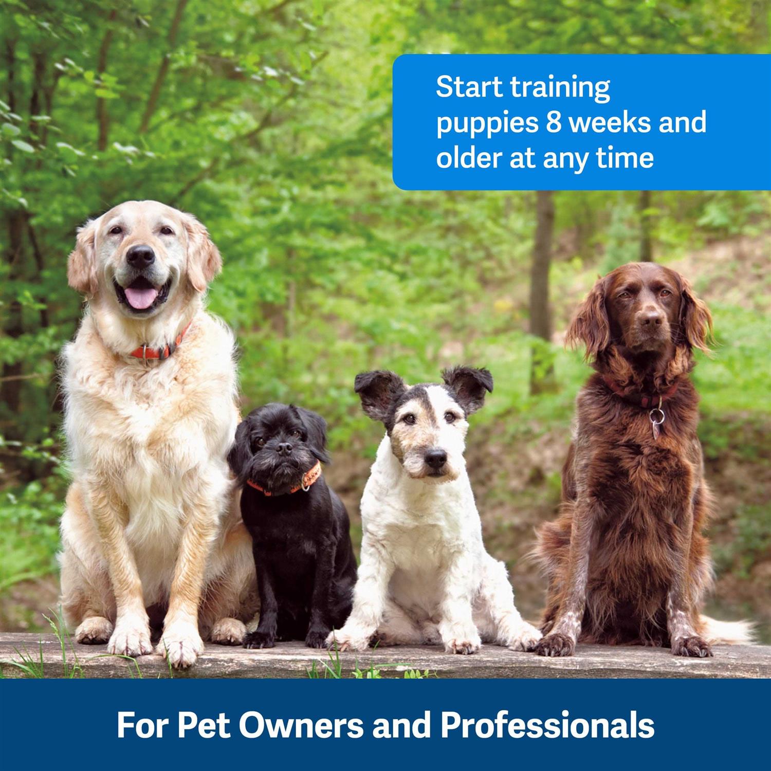 Alternative view of PetSafe Clik-R Dog Training Clicker