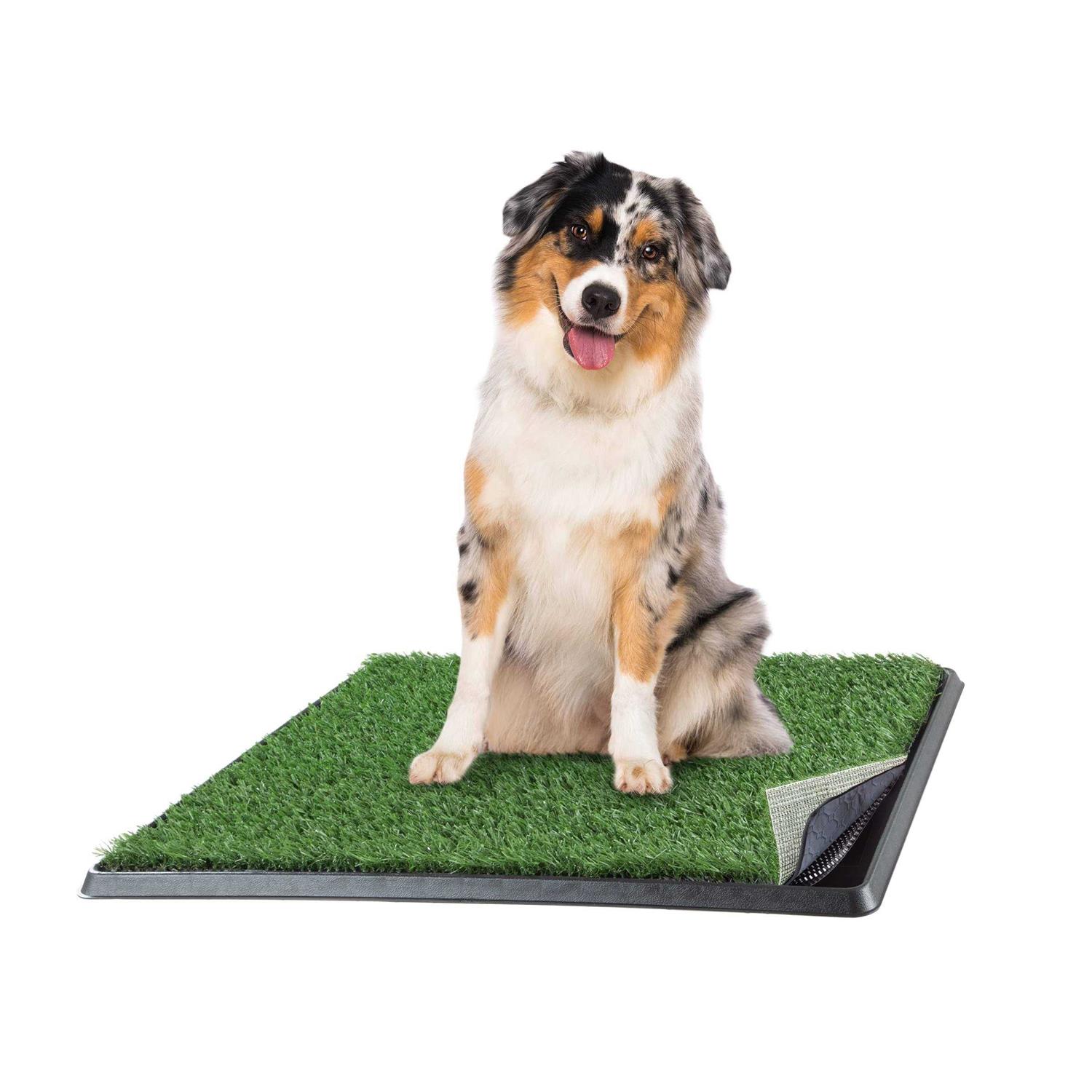 Petmaker Artificial Grass Puppy Dog Potty Pad with Tray