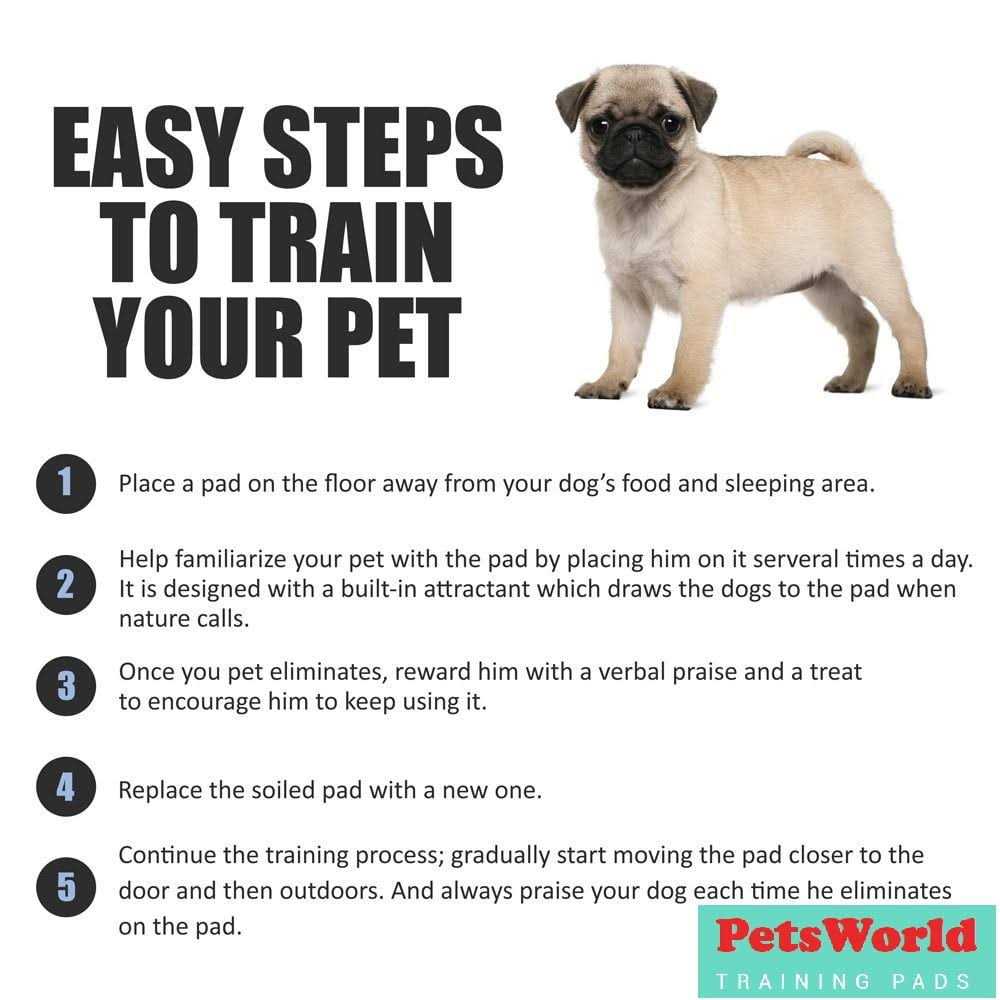 Alternative view of Petsworld Giant Potty Pads Odor Eliminating 36 x Pee Pads for Dogs