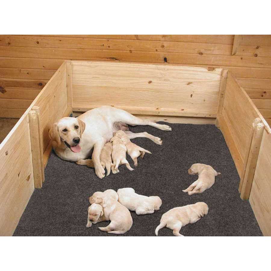 Alternative view of Drymate Whelping Box Liner Mat