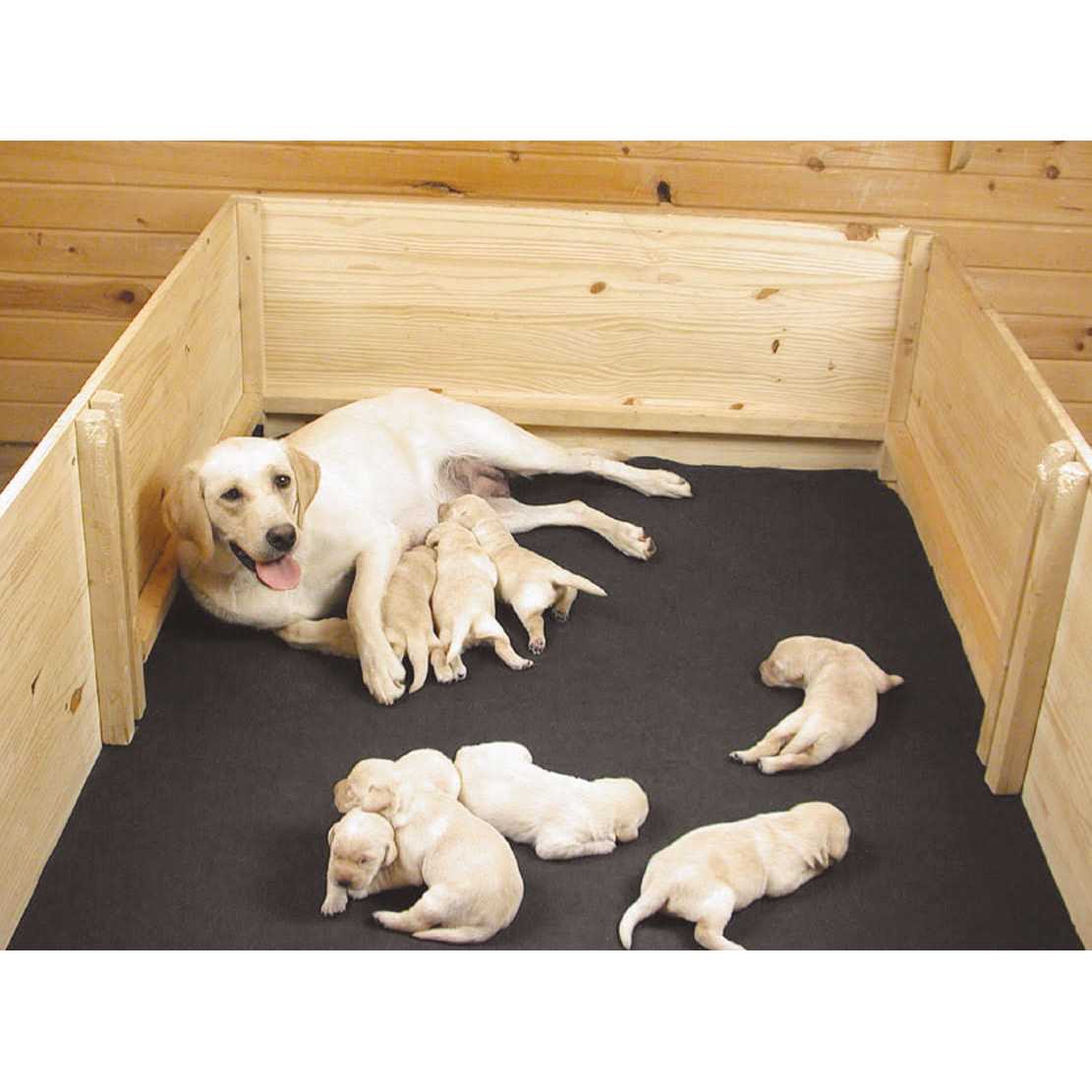 Alternative view of Drymate Whelping Box Liner Mat